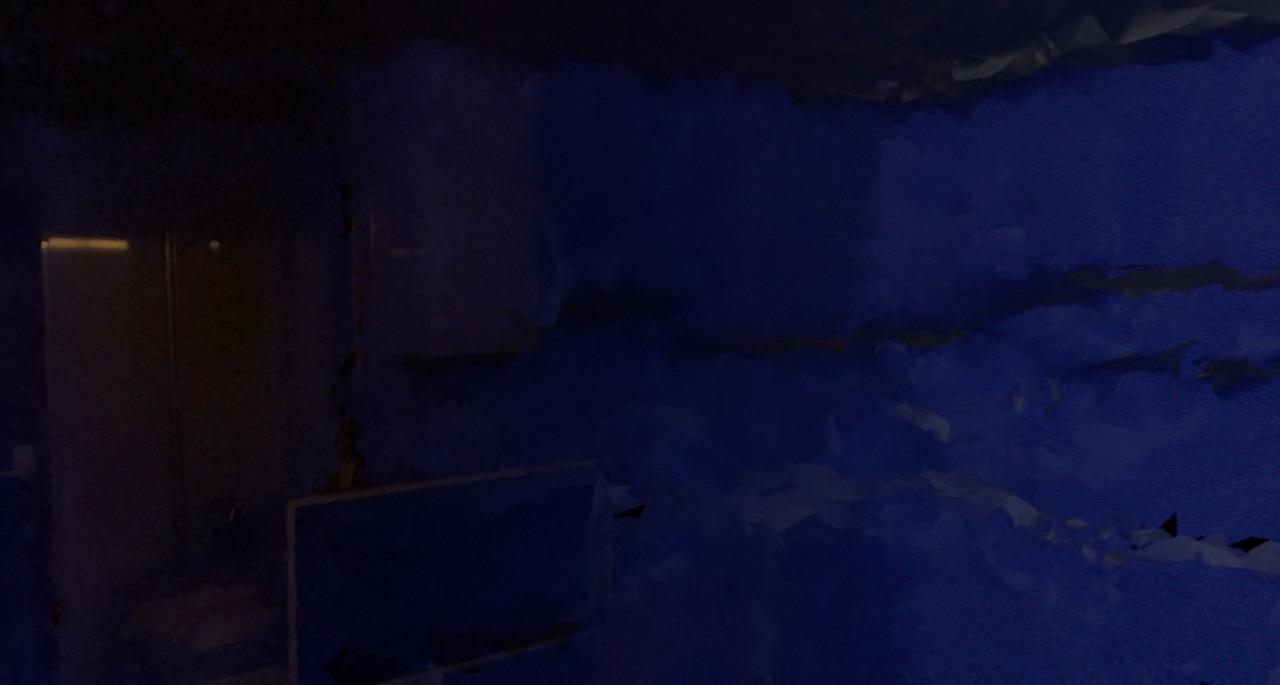 Daily Immersive - 019