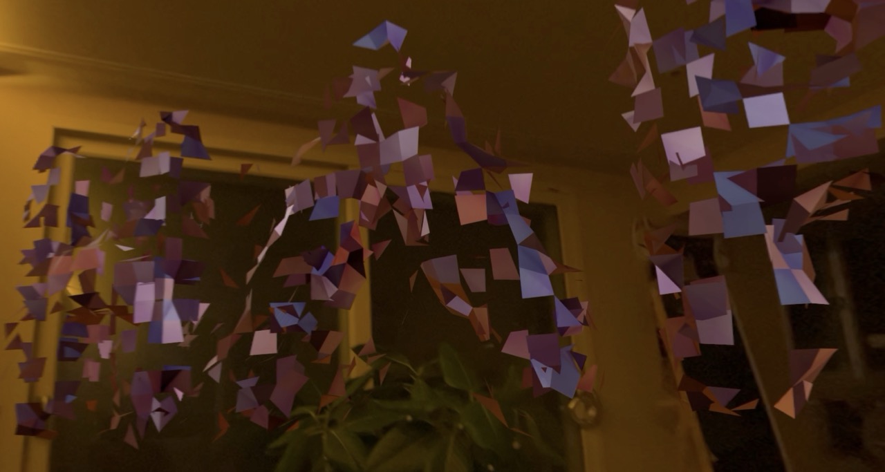 Daily Immersive - 039